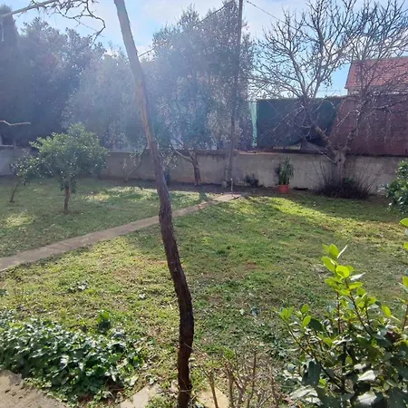 Villa Goldy Biograd Na Moru Exterior photo