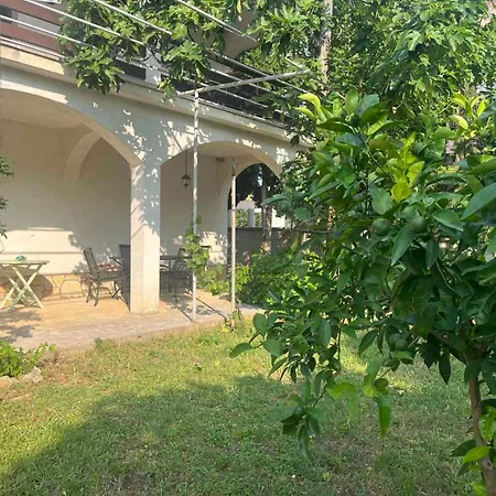 Villa Goldy Biograd Na Moru Exterior photo
